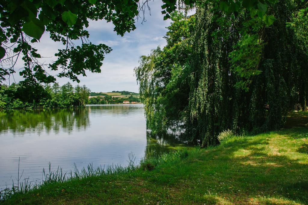 Guest House U Zlateho Jelena Žinkovy Zewnętrze zdjęcie